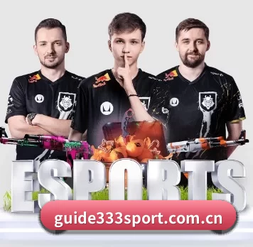 AI 革新(333Sports)